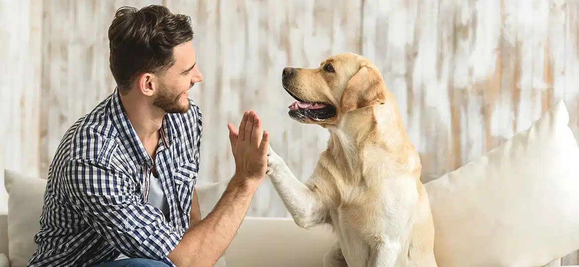 Hundeschule: Die wichtigsten Signale für den Hund