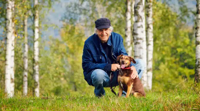 Der Sachkundenachweis für Hundehalter (SKN)