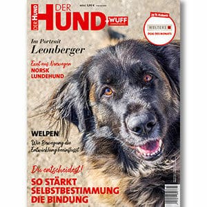 DER HUND Magazin