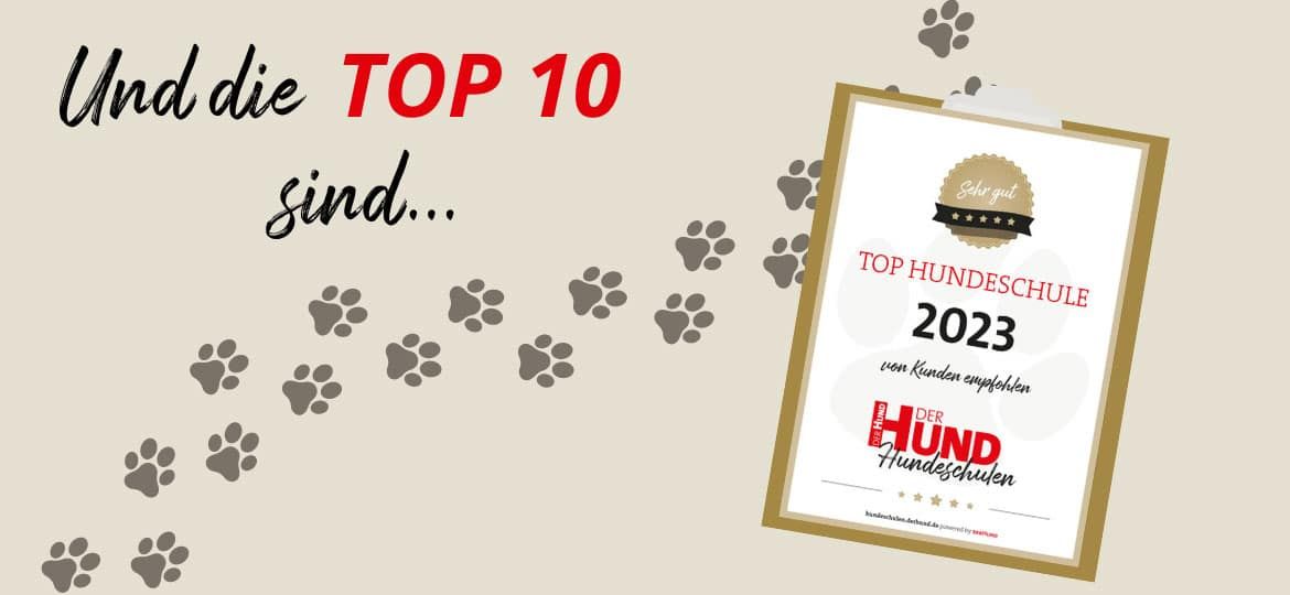 Top-10-Hundeschulen-2023