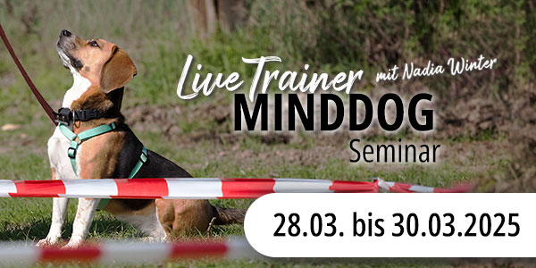 Live-Seminar Minddog®-Trainer Qualifikation