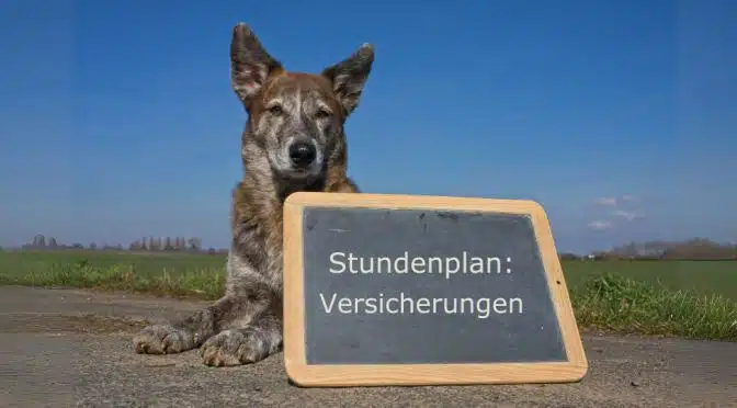 Ein Hund liegt auf einem Weg. Vor ihm steht eine kleine Tafel. Auf ihr steht: Stundenplan: Versicherungen