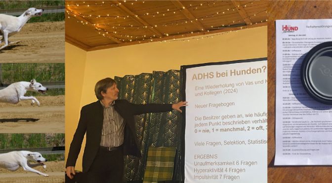 Windhund läuft über Sandbahn, ein Vortrag zu ADHS bei Hunden, ein Napf und Clicker liegen auf einem Seminarplan.