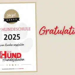 Zertifikat „Top Hundeschule 2025 – von Kunden empfohlen“ mit Siegel „Sehr gut“ und Schriftzug „Gratulation!“